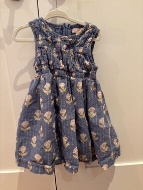 Pink Chicken Blue Floral Sleeveless Cotton Dress